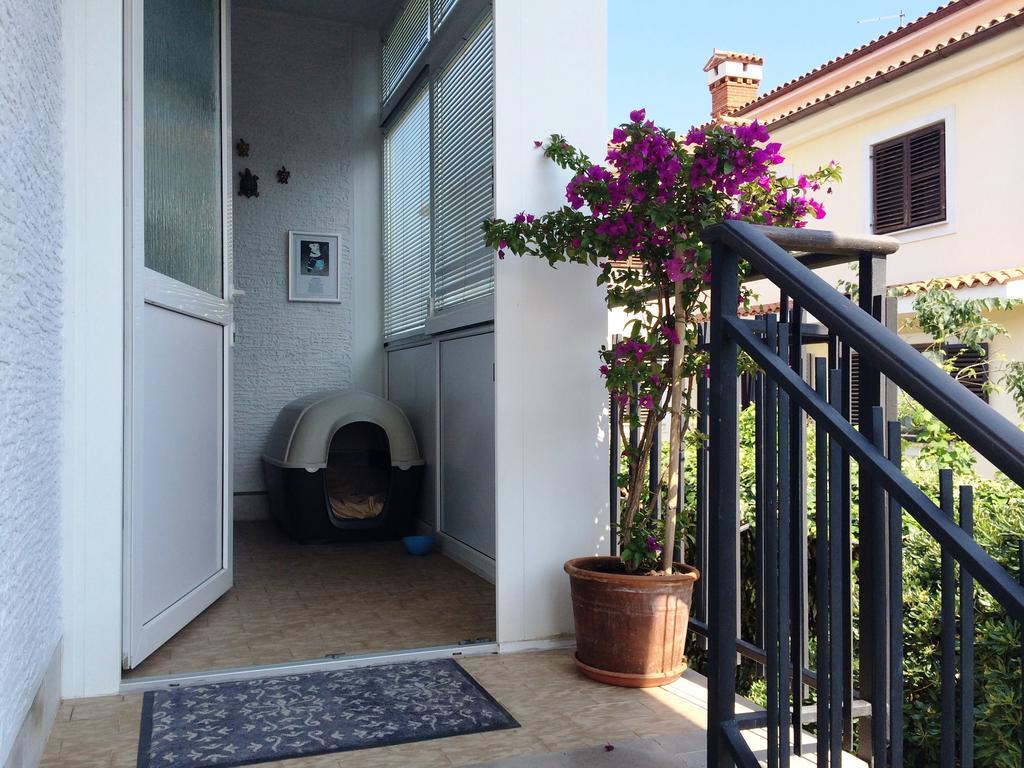 Apartments Kolorcek Izola Dış mekan fotoğraf